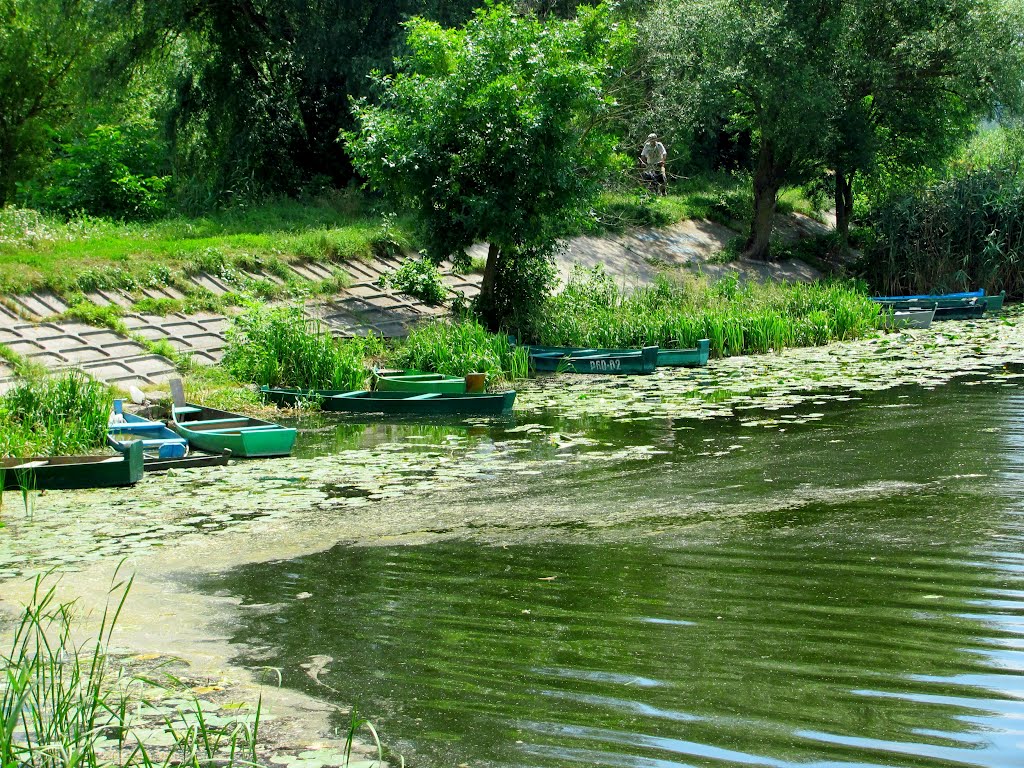 В ожидании хозяев...
