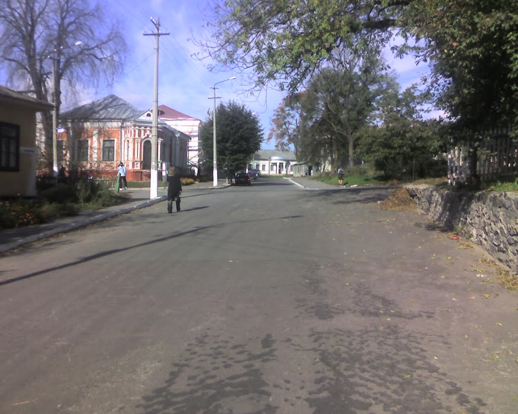 Фото Острог — Дорога від парку