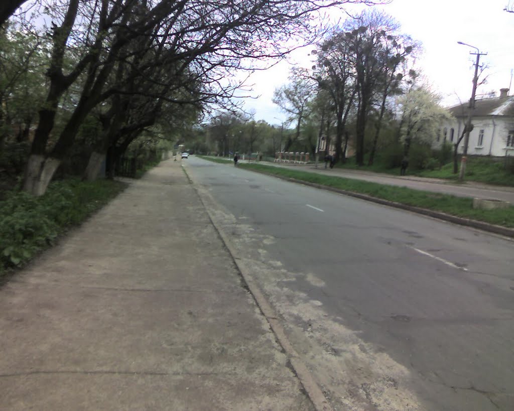 Фото Острог — Road