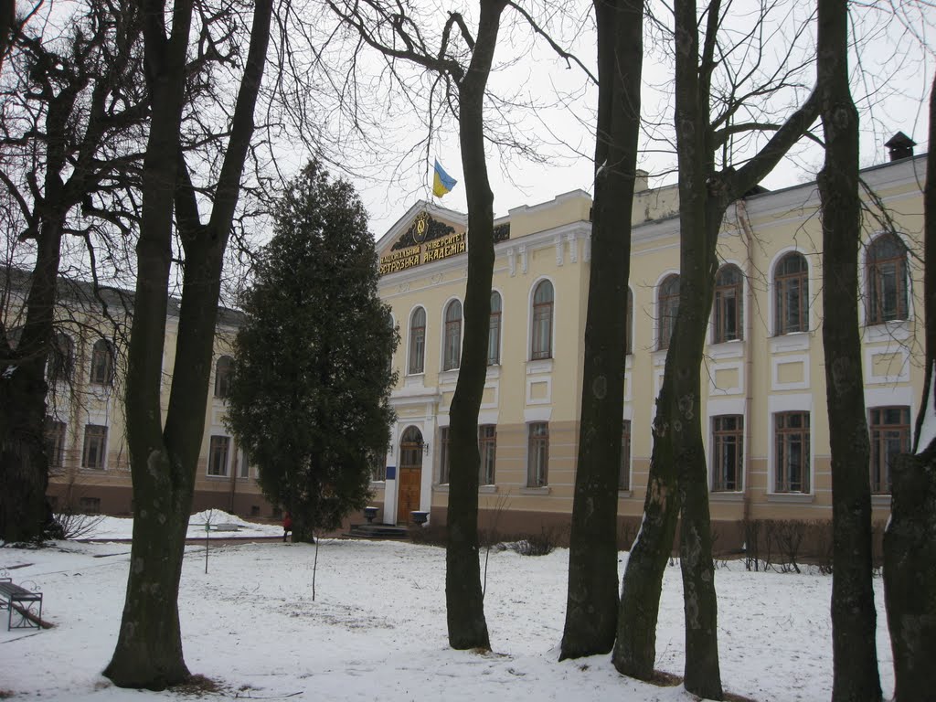 Фото Острог — Острог (Рівненська обл.) - Національний Університет "Острозька Академія"