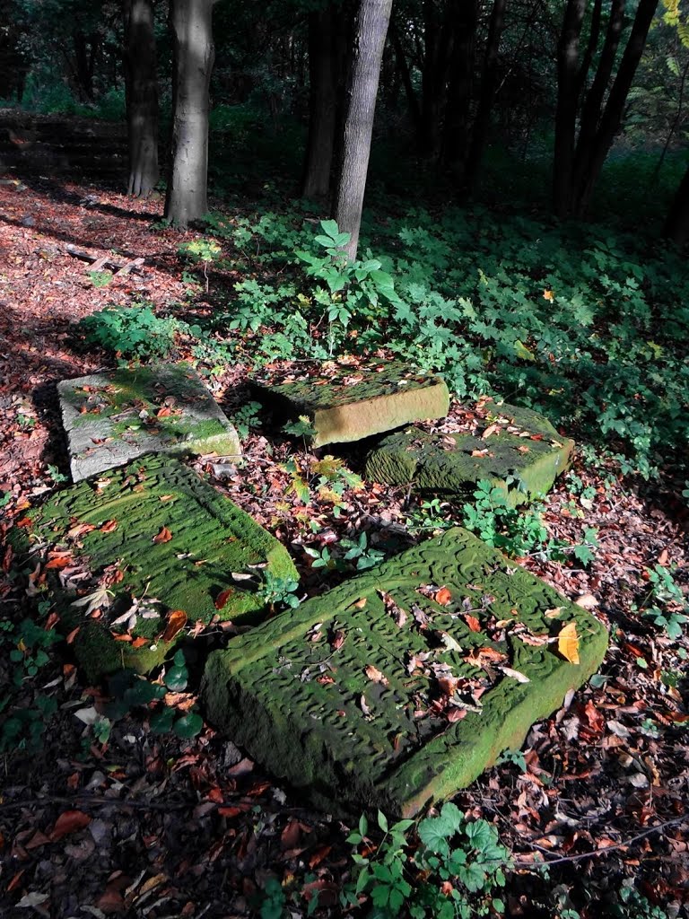 Фото Острог — Острог - сплюндрована память, разбитые надгробия, Ostroh - broken headstones