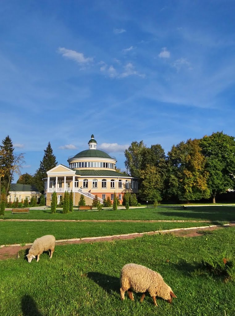 Фото Острог — Острозька "аграрна"  академія ;)  Ostroh Academy, Akademia Ostrogska