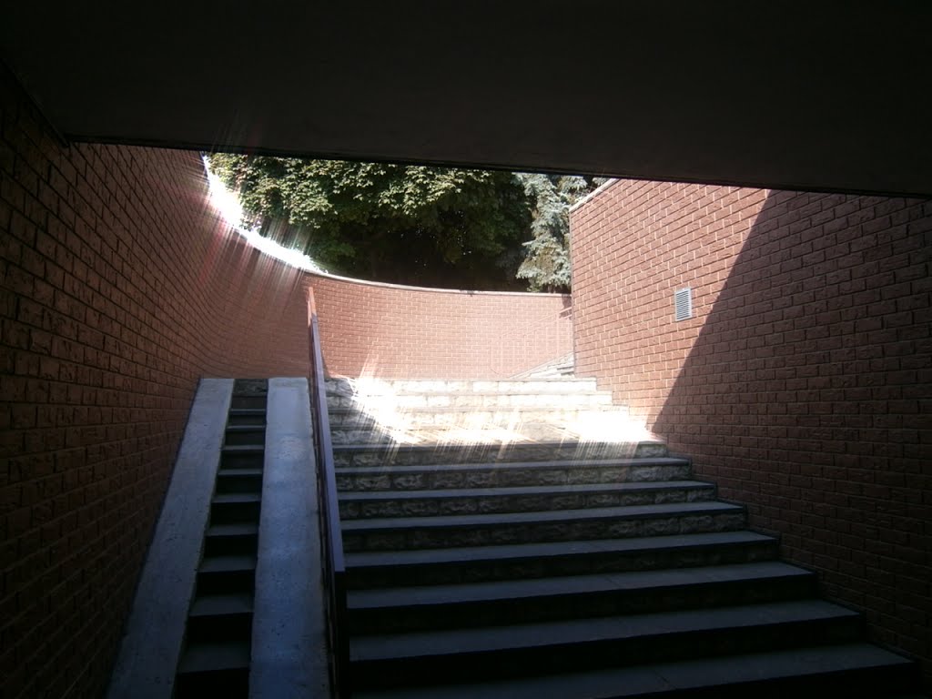 Underground