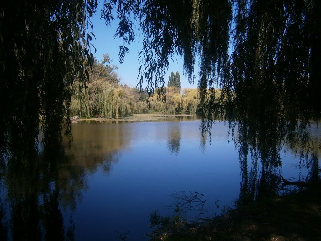 Rivne