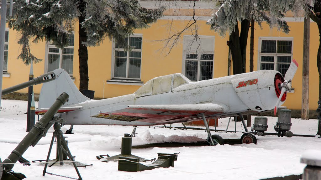 Орел на пенсии. Eagle on retirement