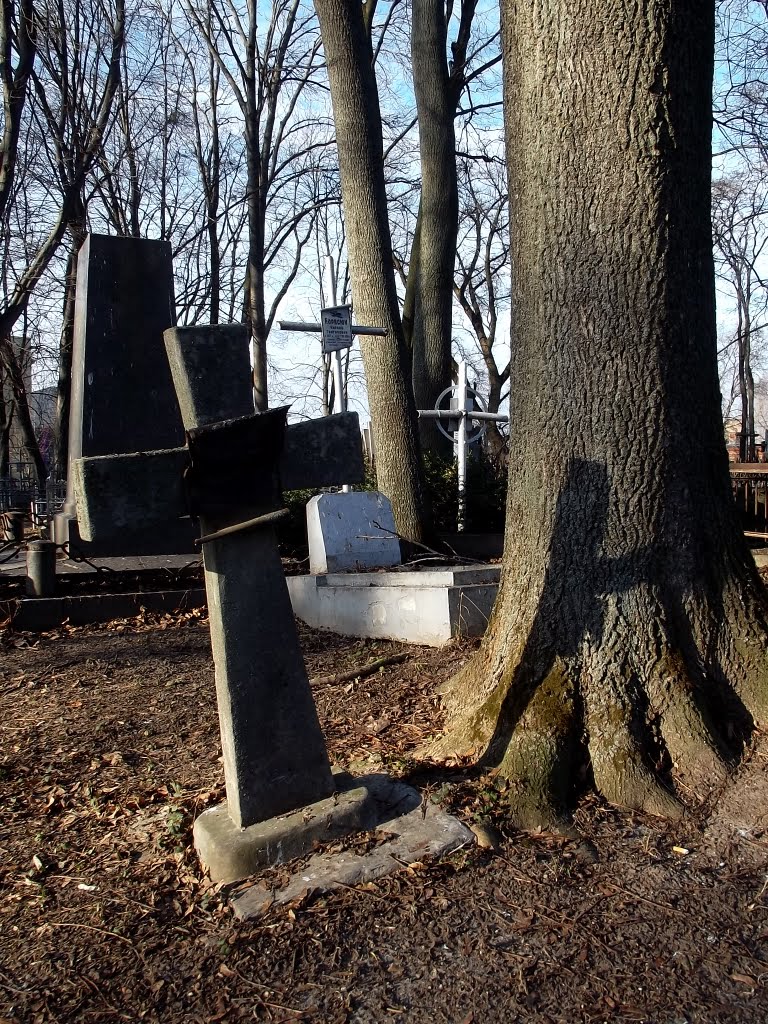 CROSS and TREE