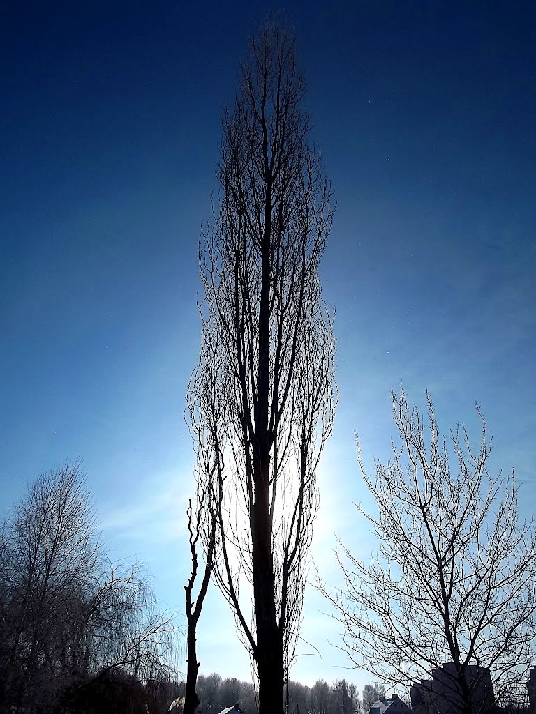 to sky...