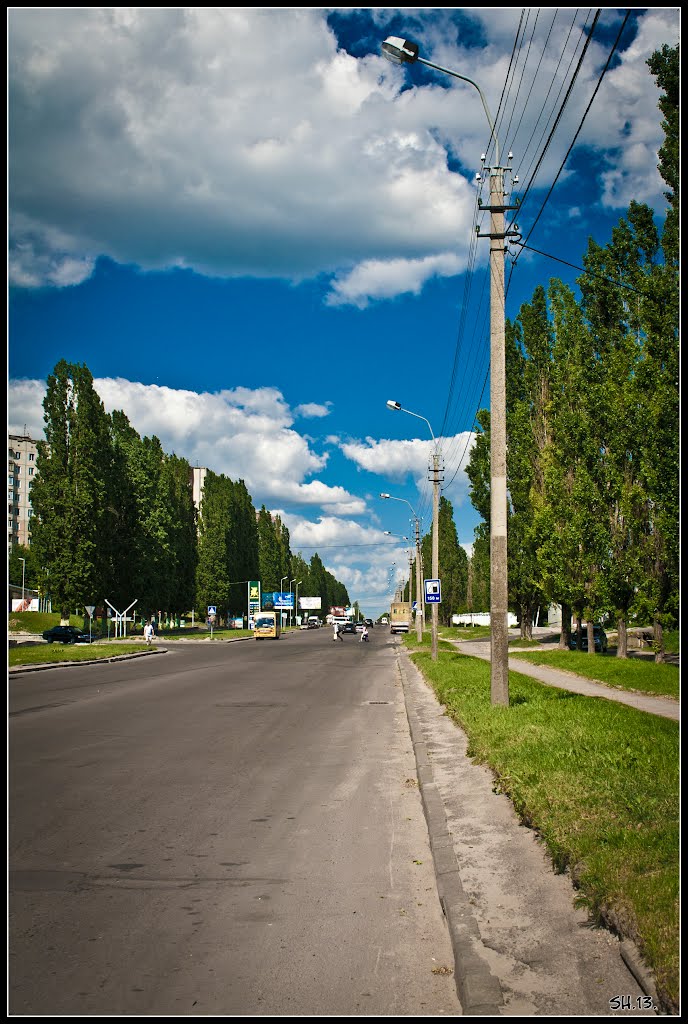 Shukhevych street вул.Шухевича