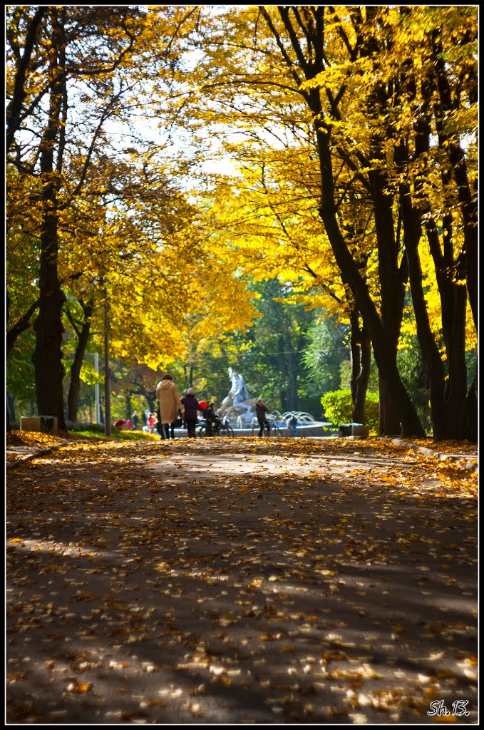 Walking in the autumn ...