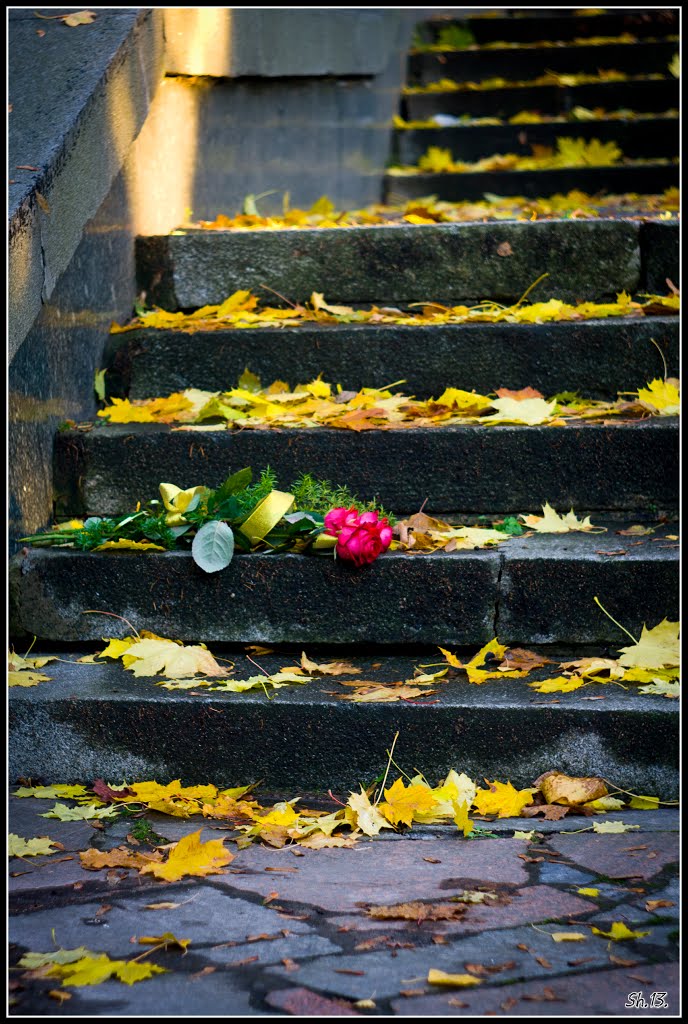 Abandoned bouquet...