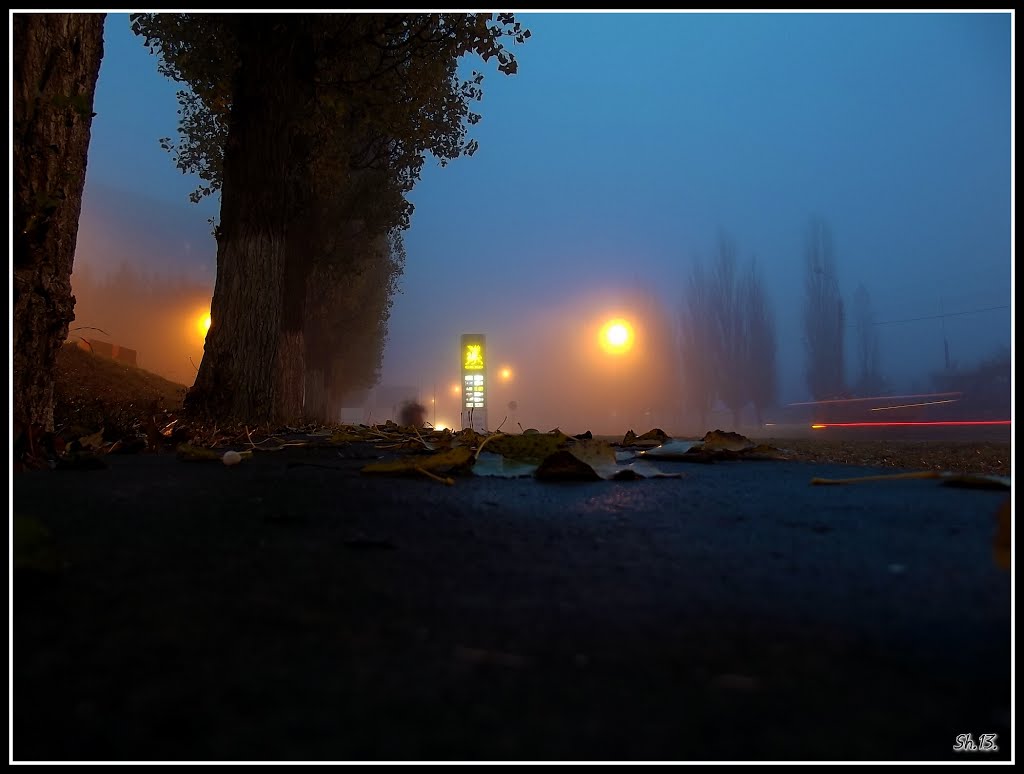 Autumn. Morning. Fog...