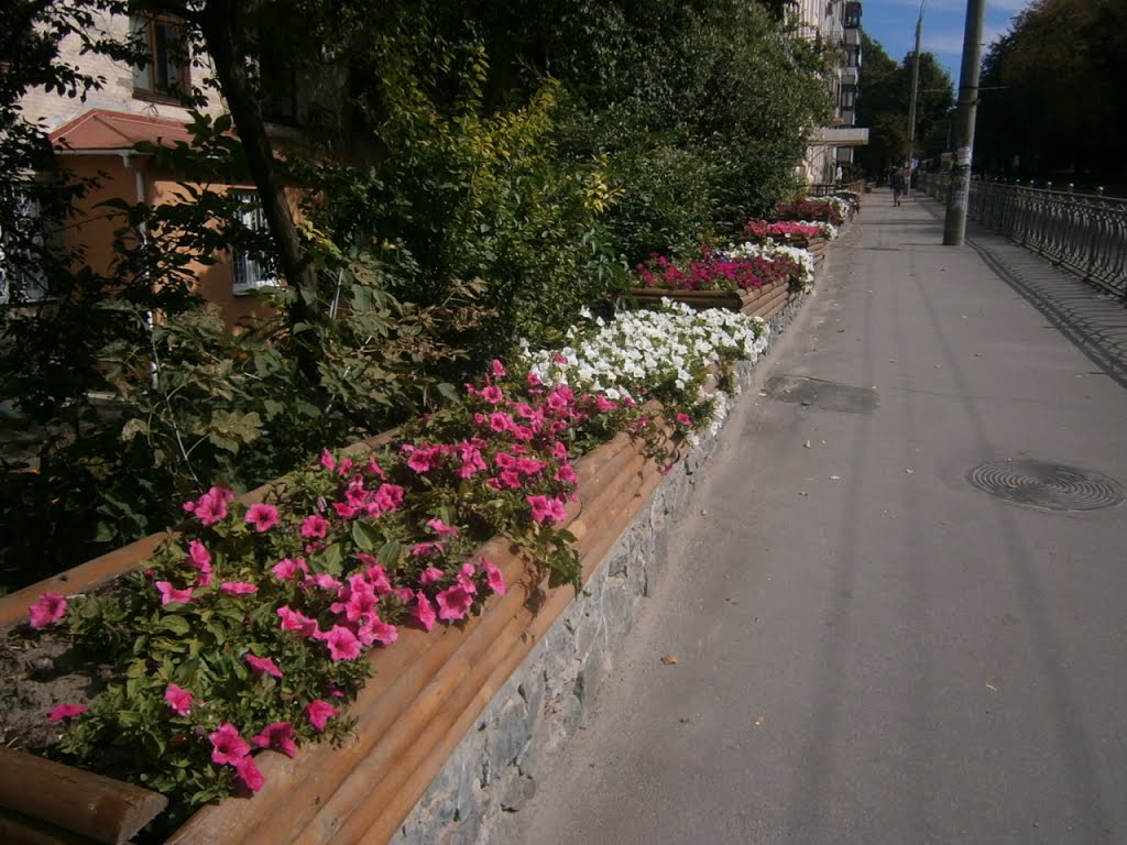 Street flovers