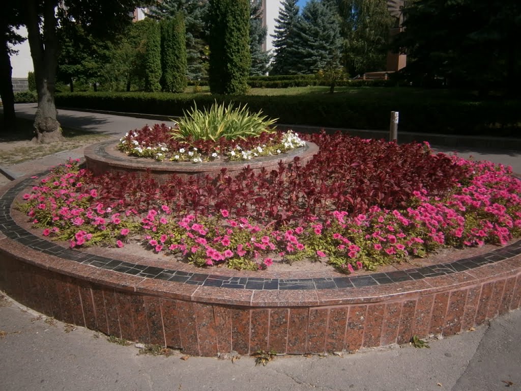 Flovers