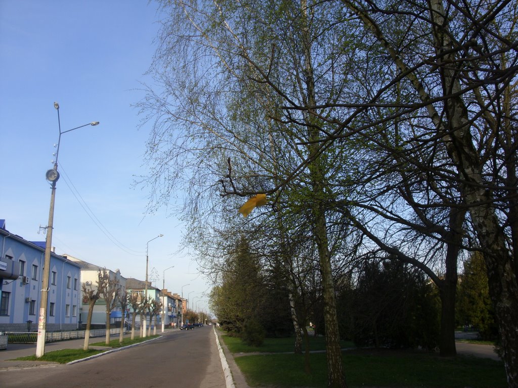 Все что осталось от Майдана