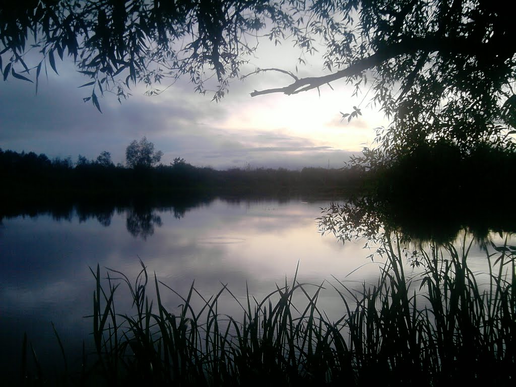Притока р.Случ на світанку