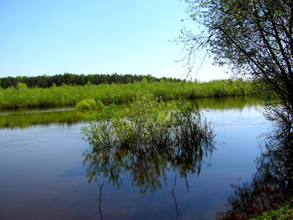 Р. Случь.Сарны.