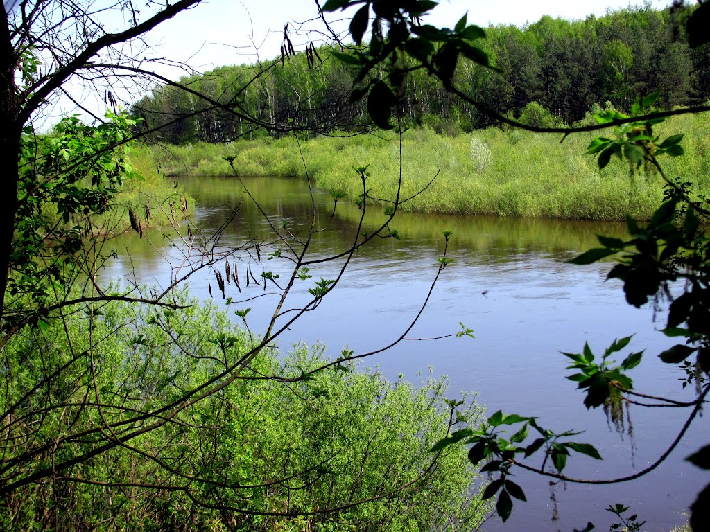 Р. Случь в г.Сарны.