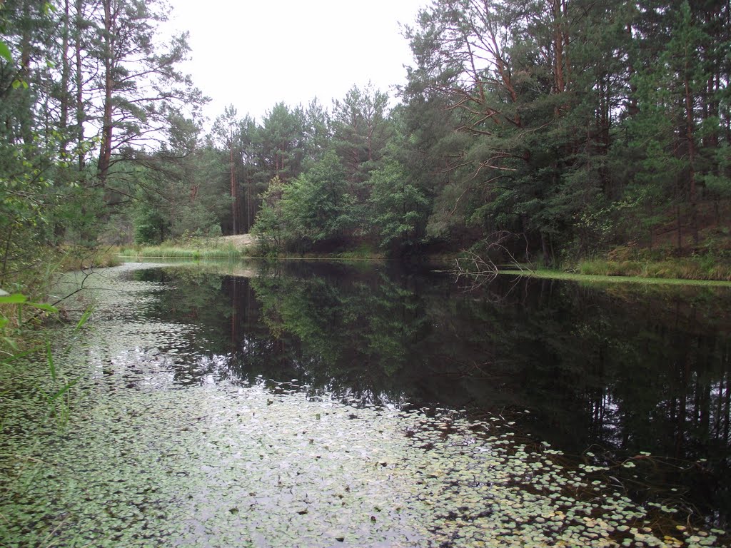 Річка Косма, River Kosma