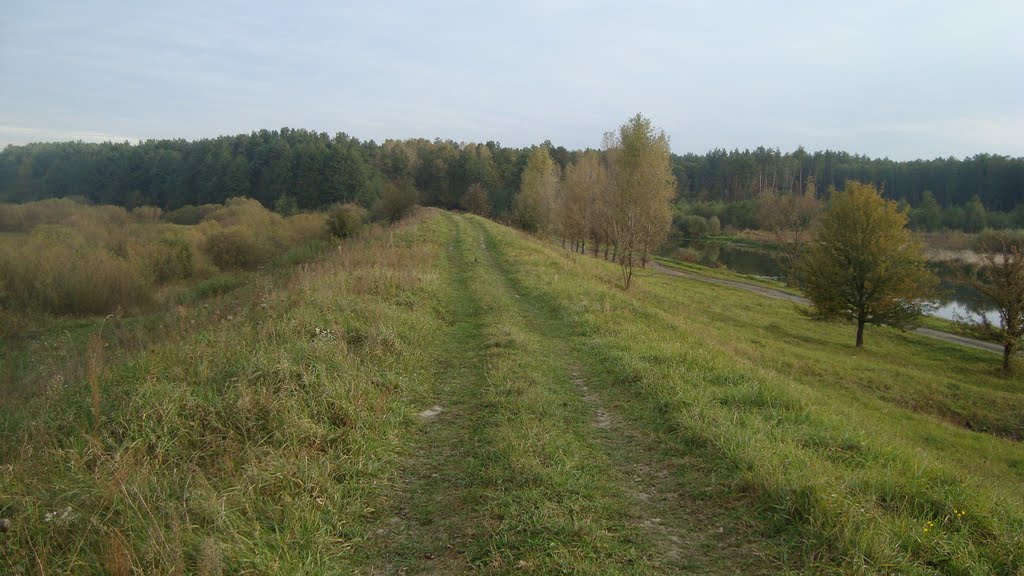 Вал біля р.Горинь