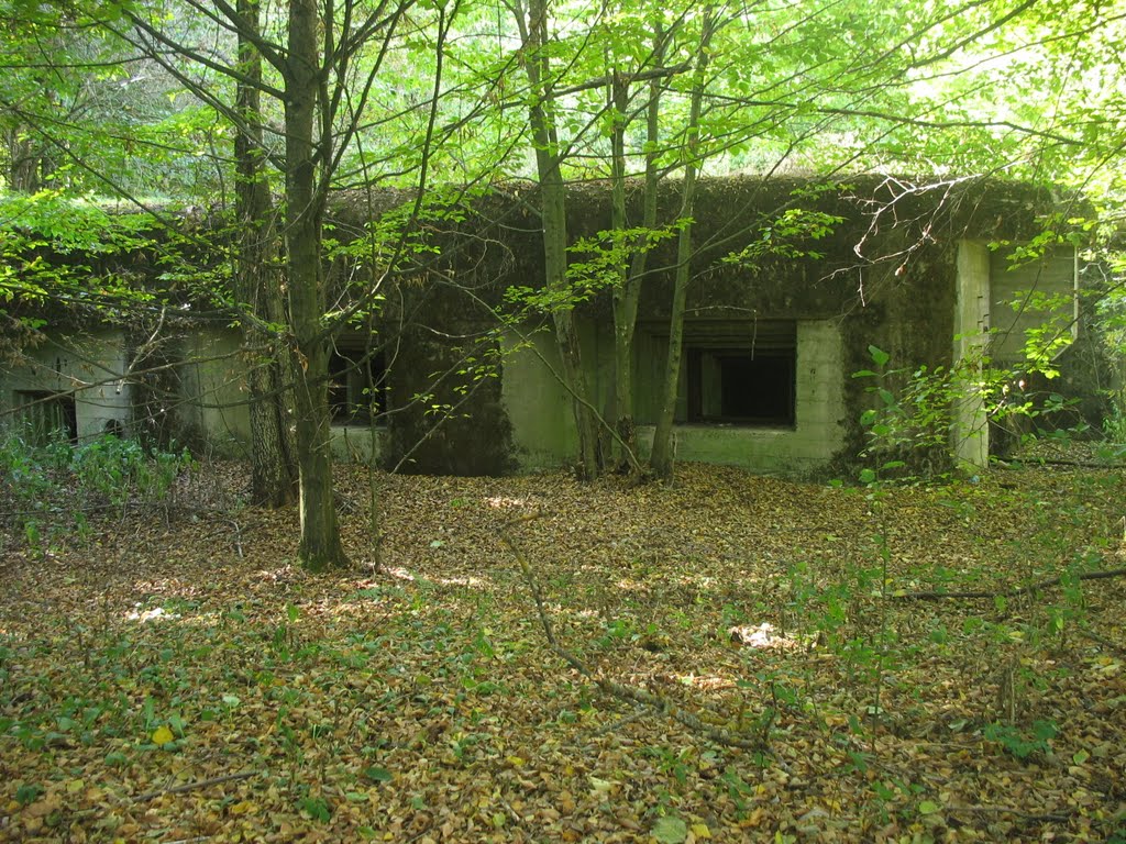 Bastion Polesie "Любаша"№12