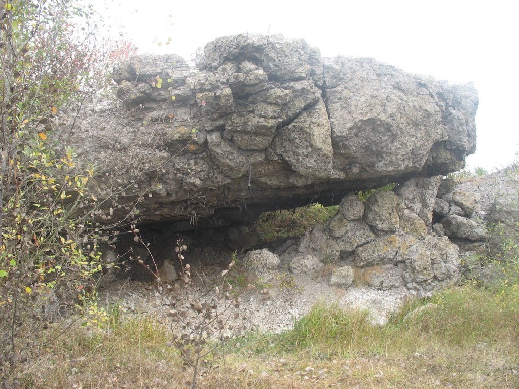 Bastion Polesie "Chwoszczowiec" №5