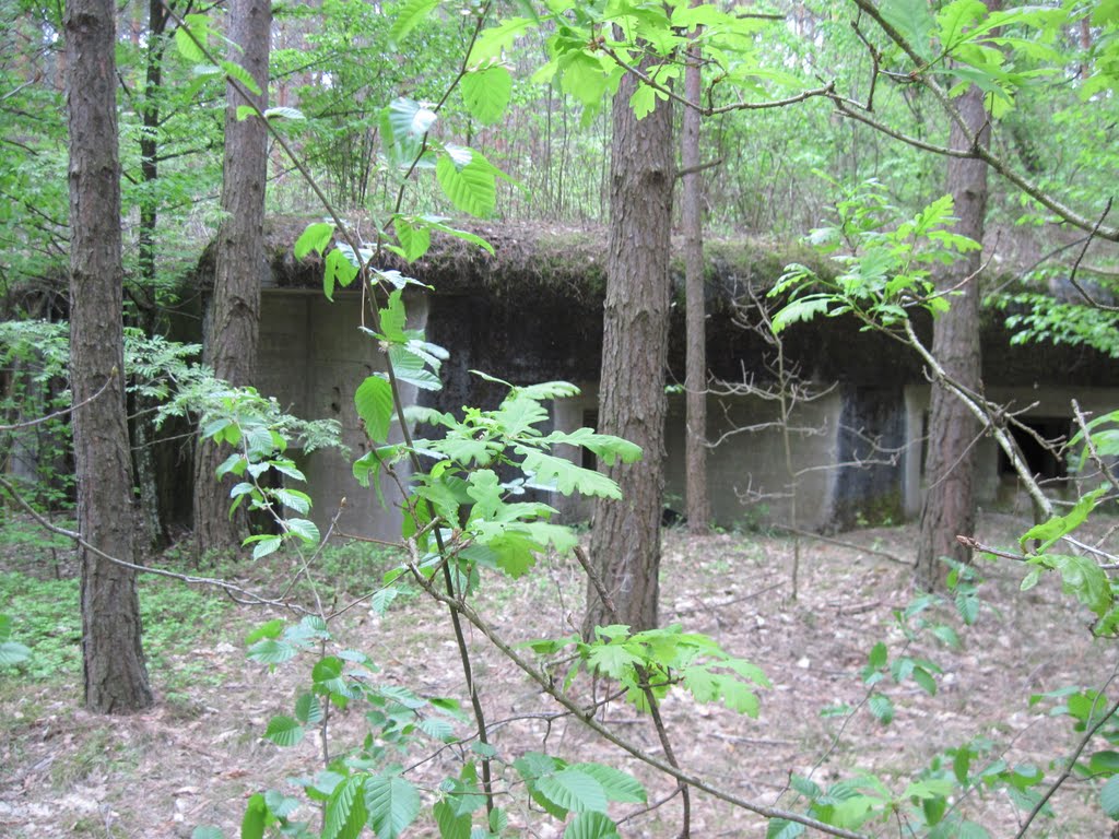 Bastion Polesie "Любаша"№12а
