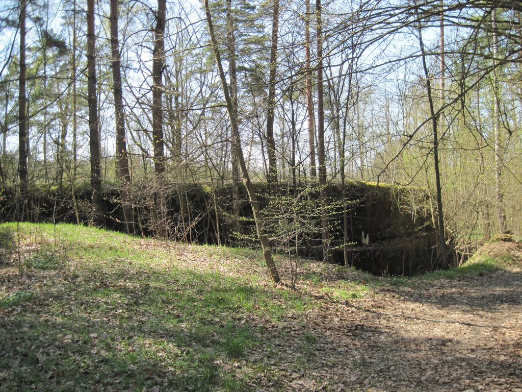 Bastion Polesie "Chwoszczowiec" №4