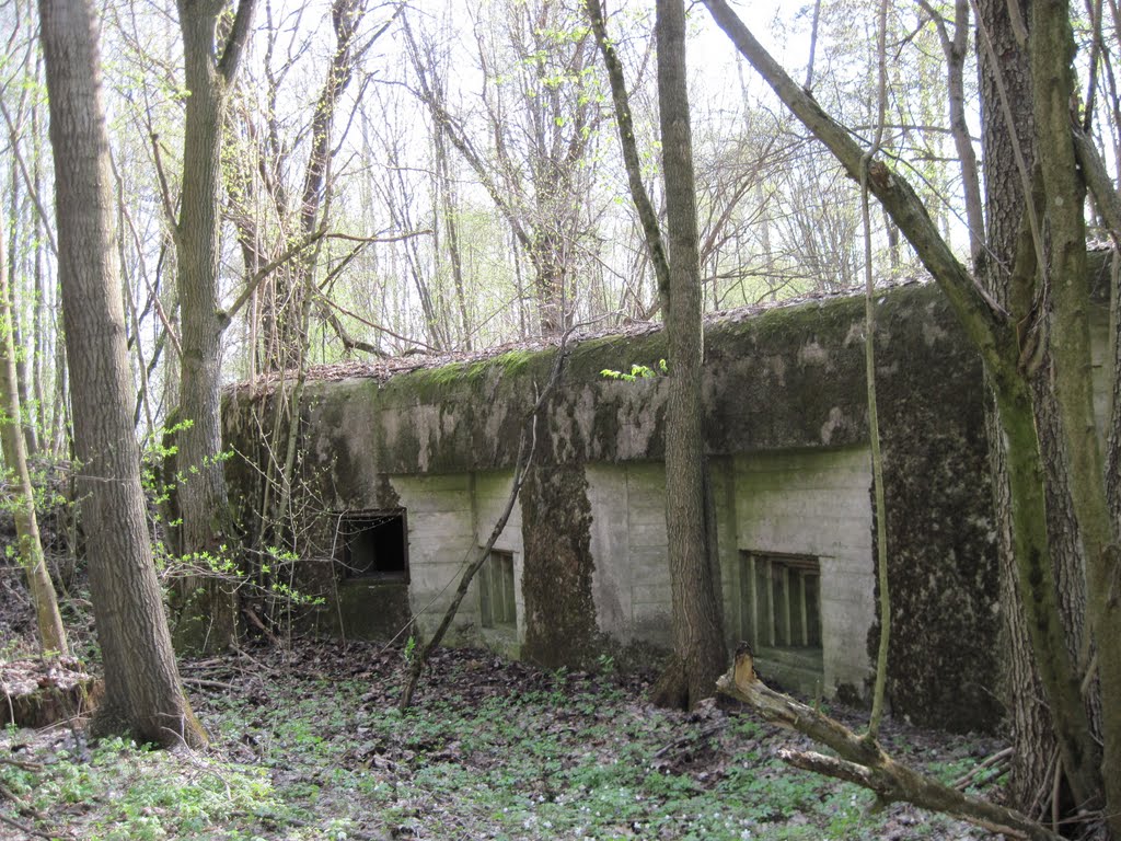 Bastion Polesie "Chwoszczowiec" №7
