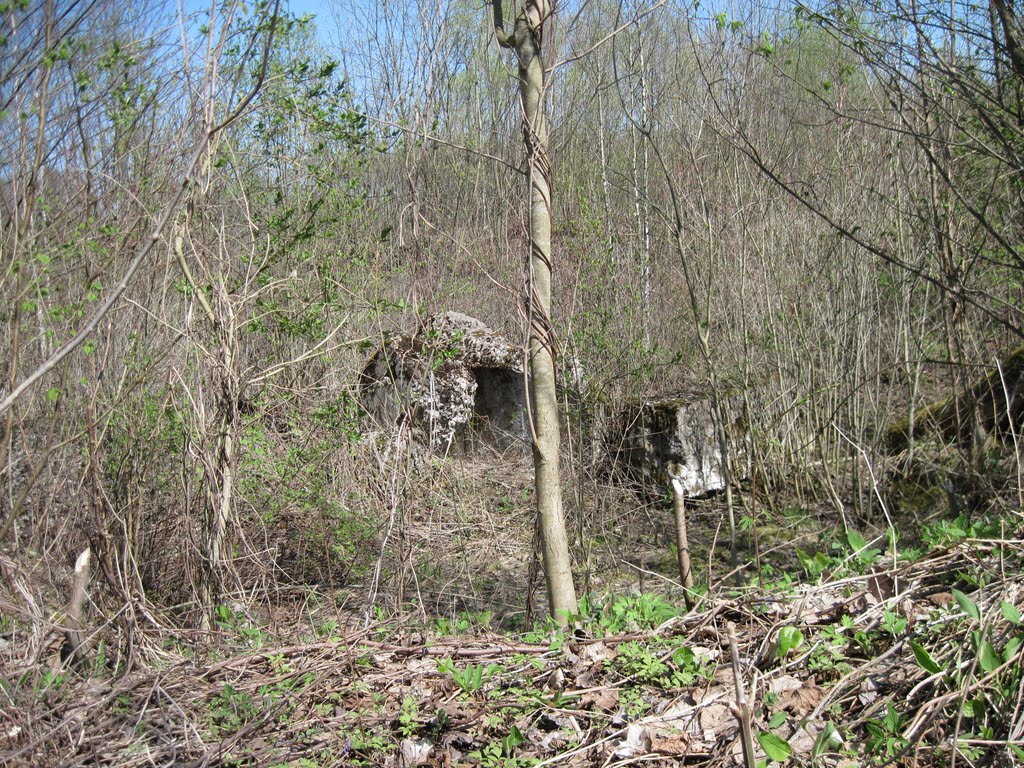 Bastion Polesie "Chwoszczowiec" №2