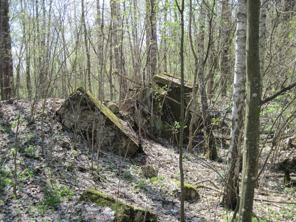Bastion Polesie "Chwoszczowiec" №3