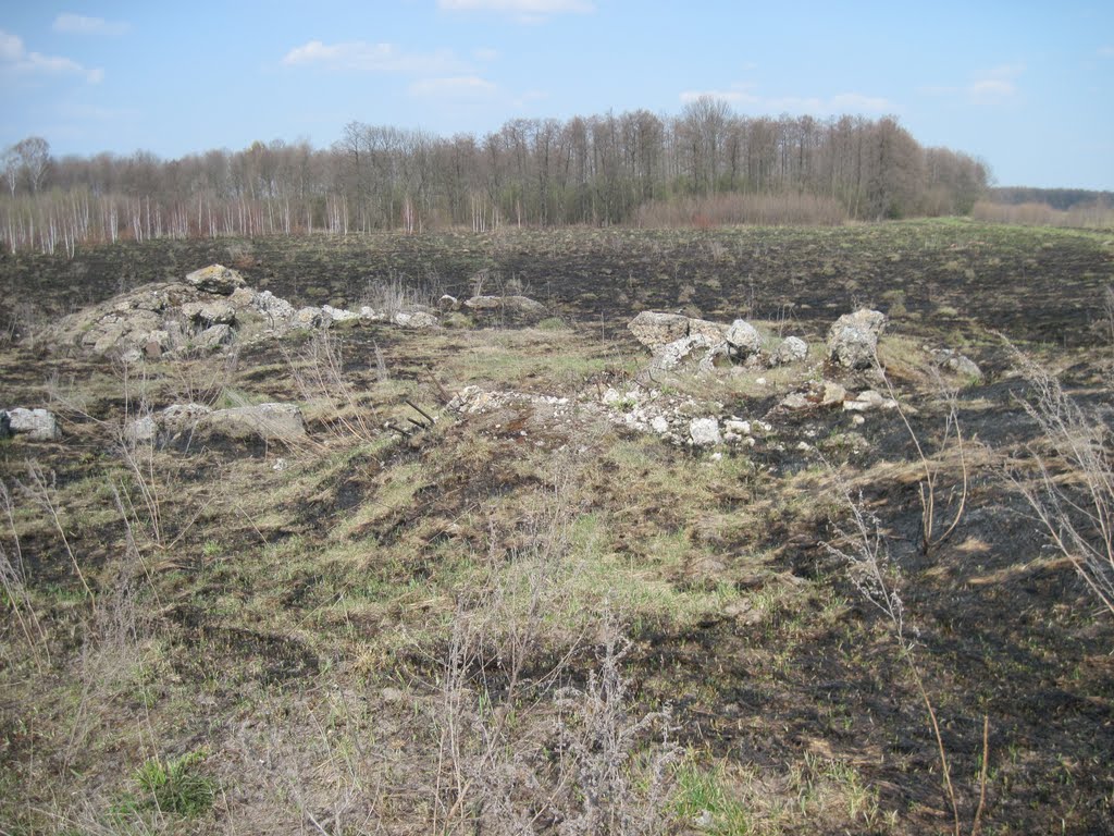 Bastion Polesie "Моквин"№12