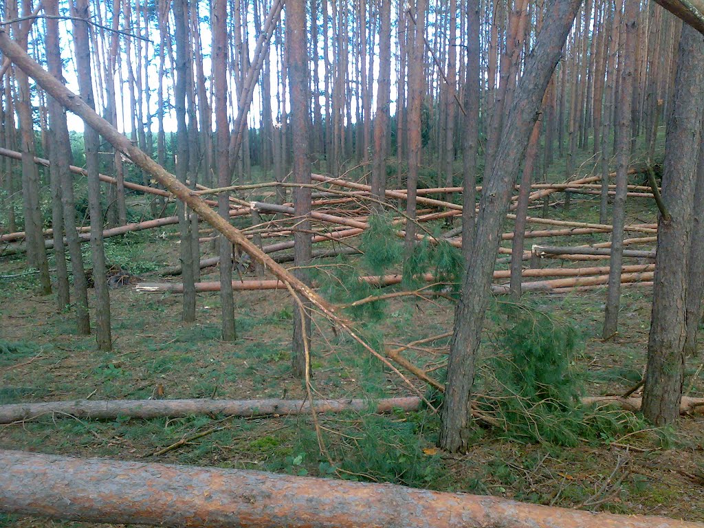 Наслідки буревію, с.Космачів, Костопілький р-н, Рівненська обл.