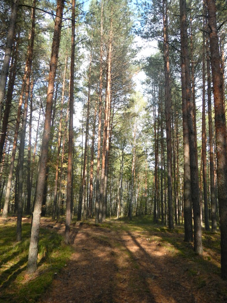 Осінь