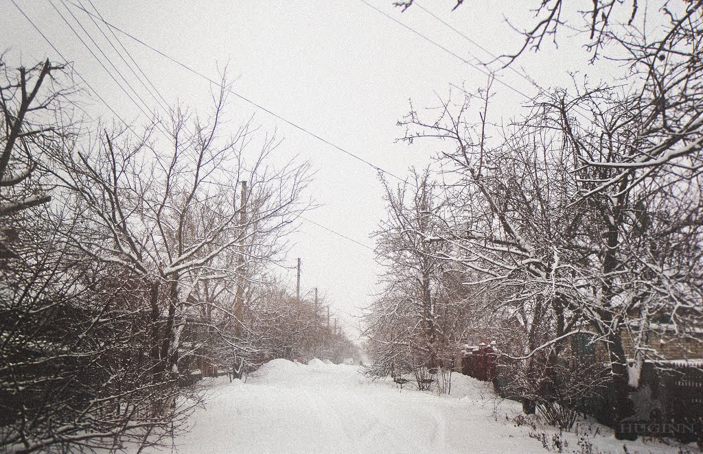winter