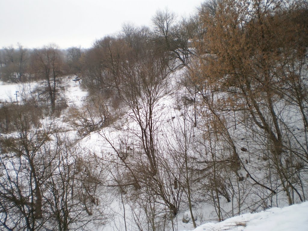 Старый парк