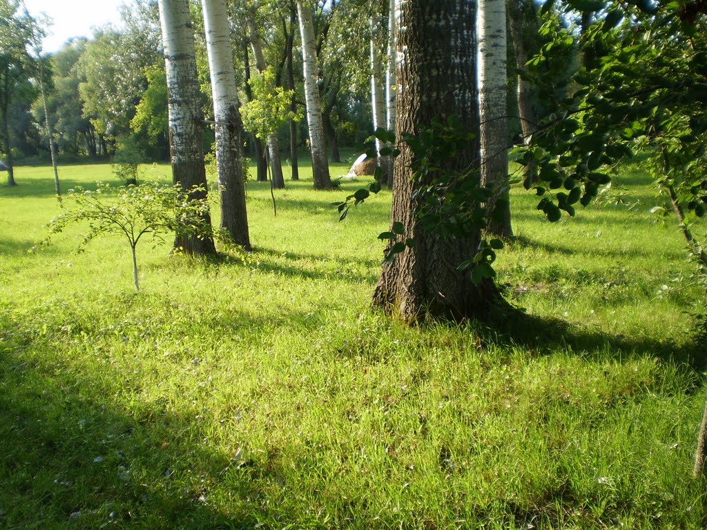 Июль