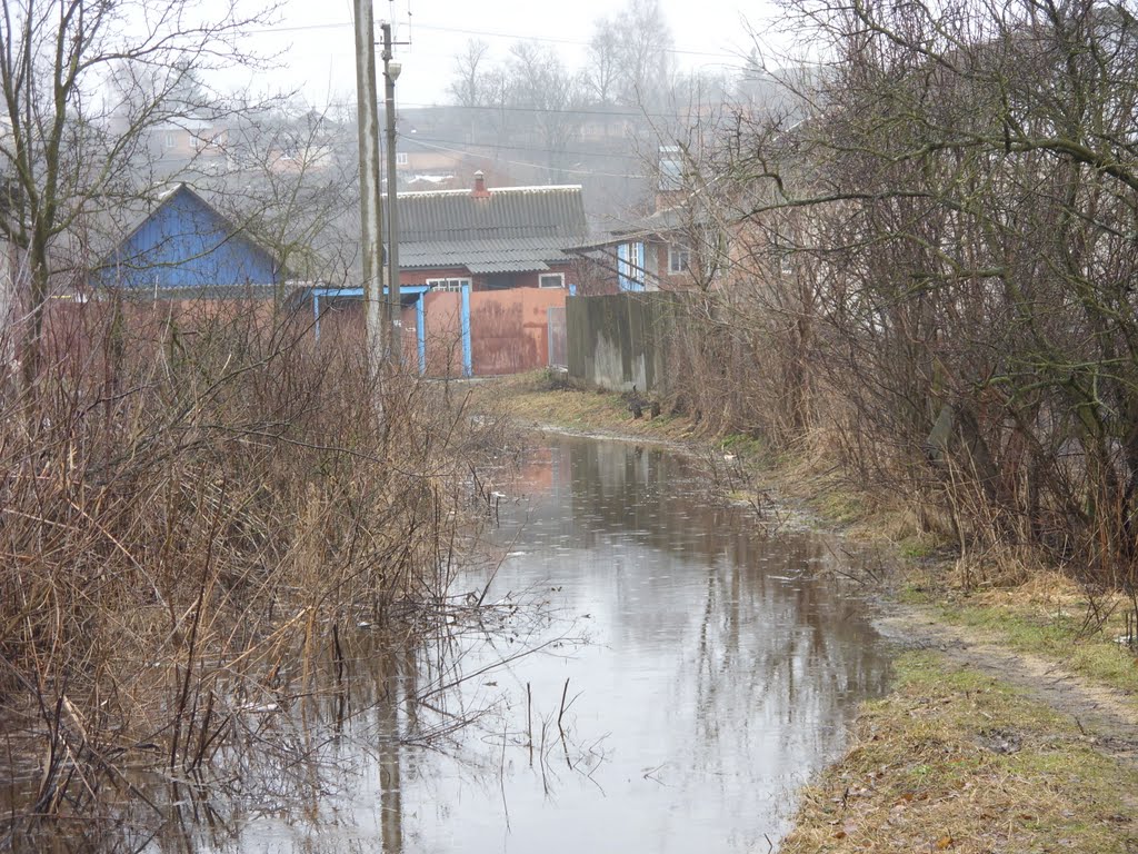 Freshet street Starosillia