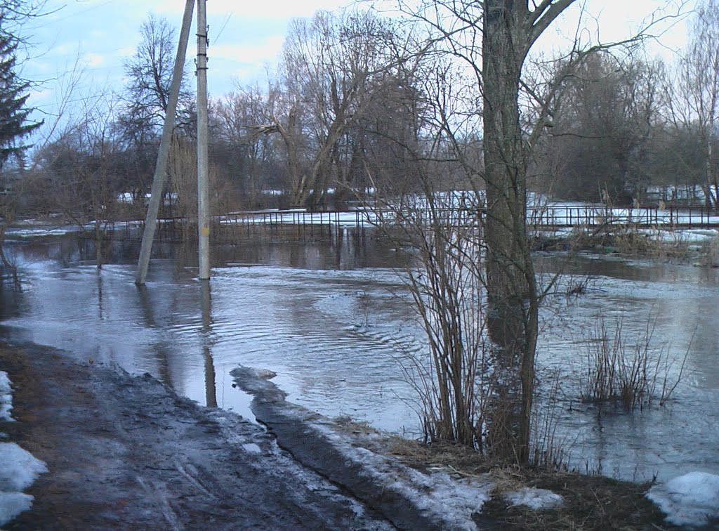Весна 2010