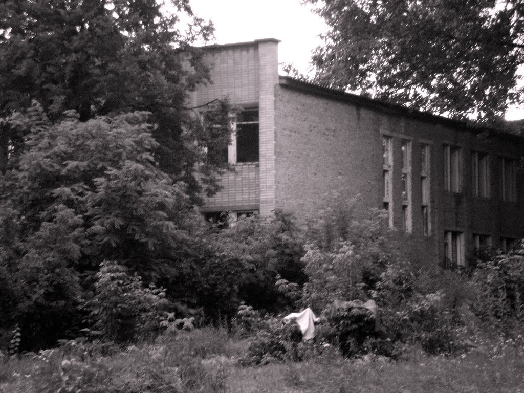 Архив