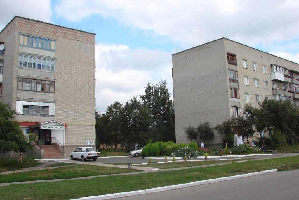 вул. Макаренка  -  st. Makarenko  2010 р