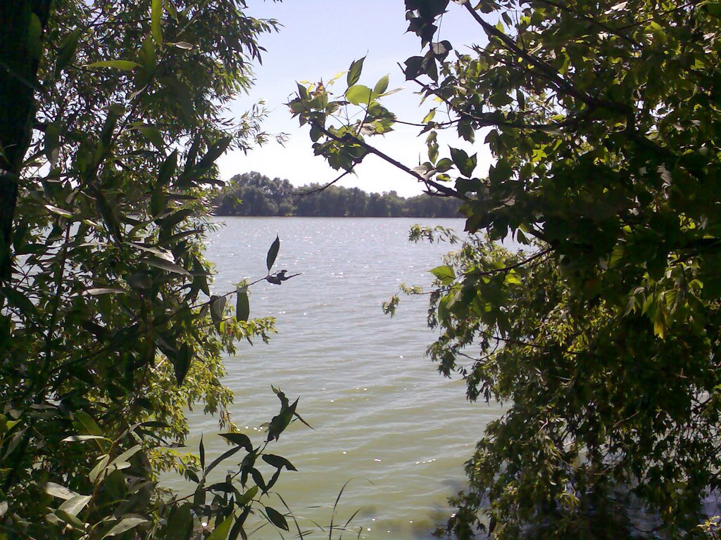 Река_08.07