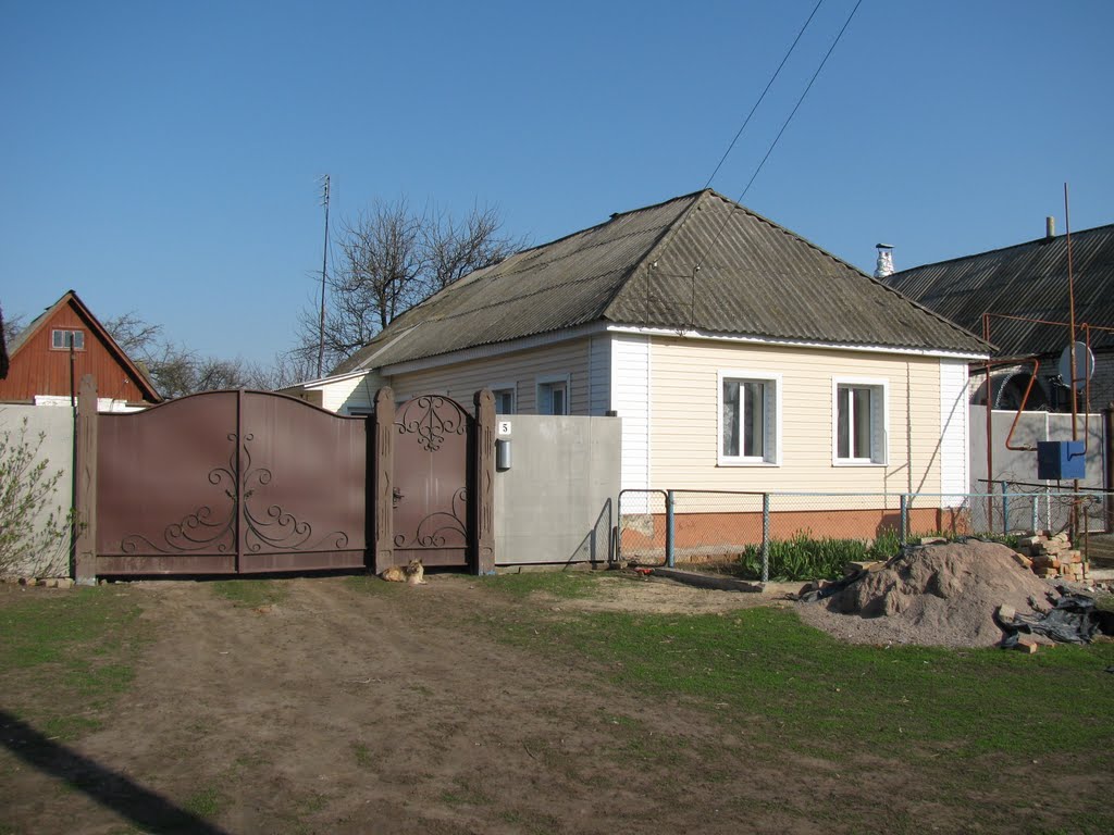 Parents hut in the Shevchenko St., Buryn