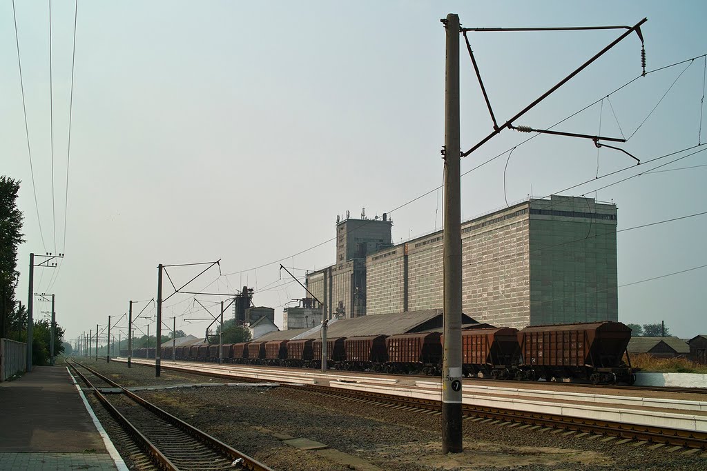 Ст. Путивль та буринський елеватор - Putivl st. & Buryn noria