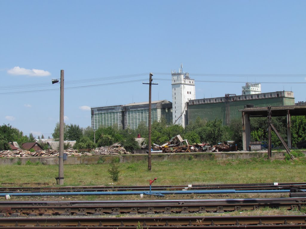 Ворожба