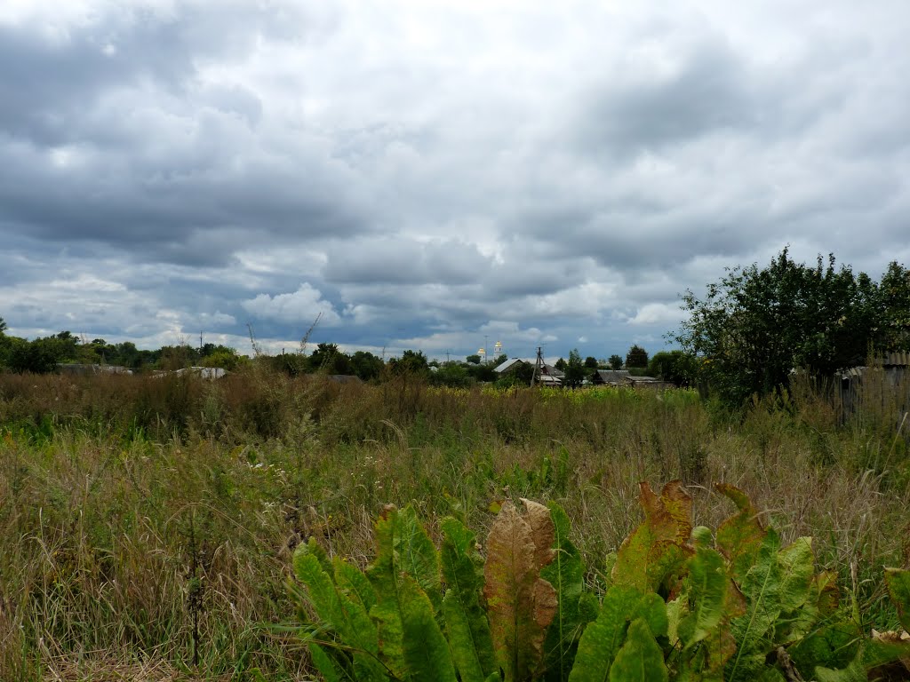 С Араратов