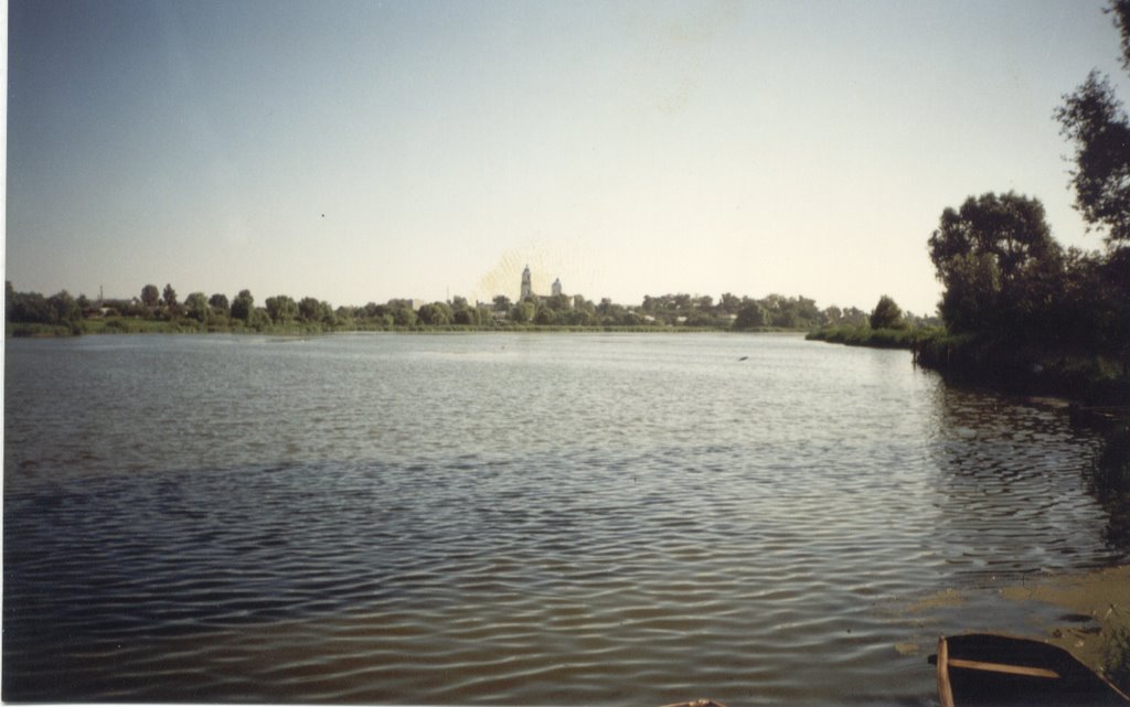 Воронеж Спащина (вид с дамбы)