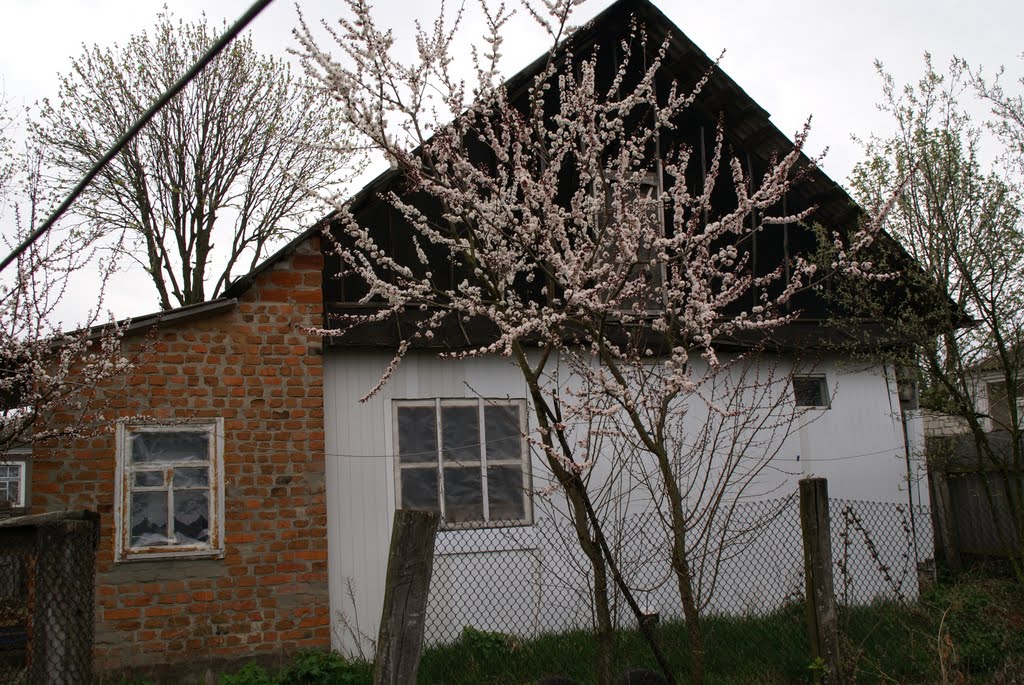 town Voronizh