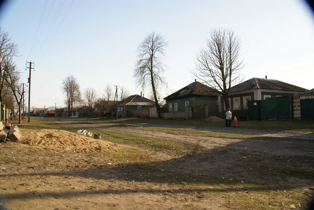 town Voronizh