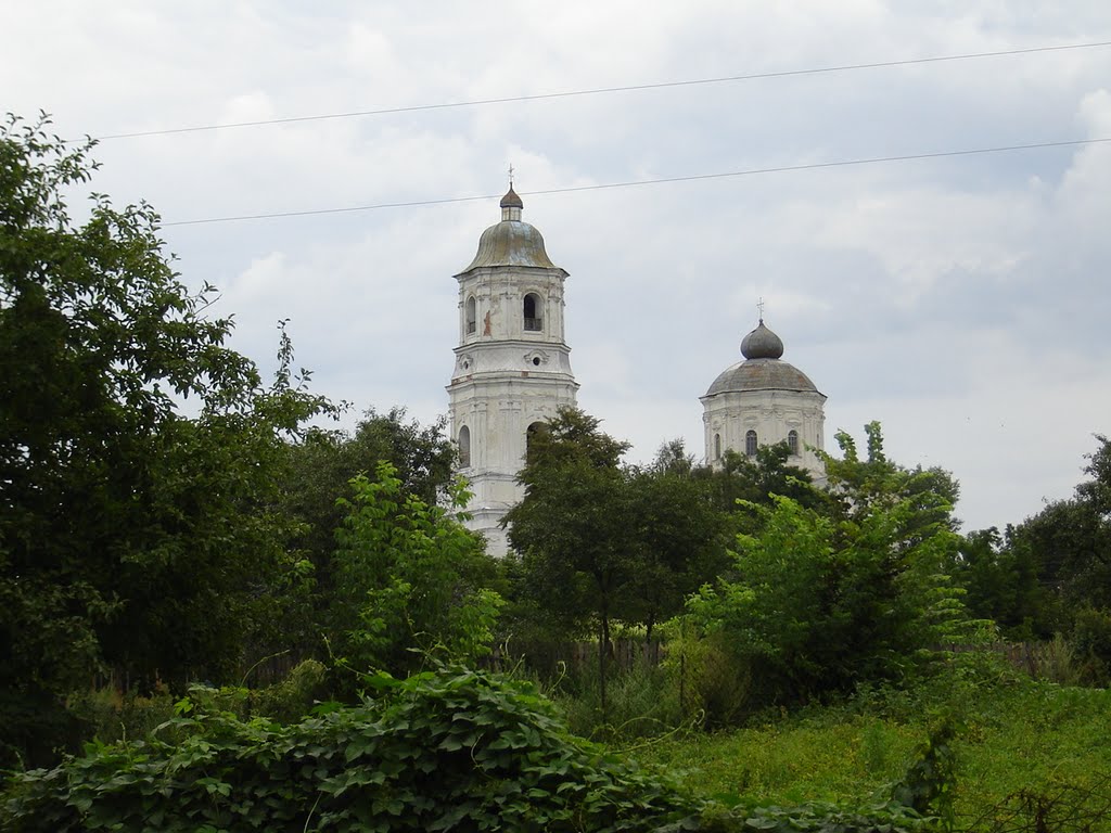 town Voronizh