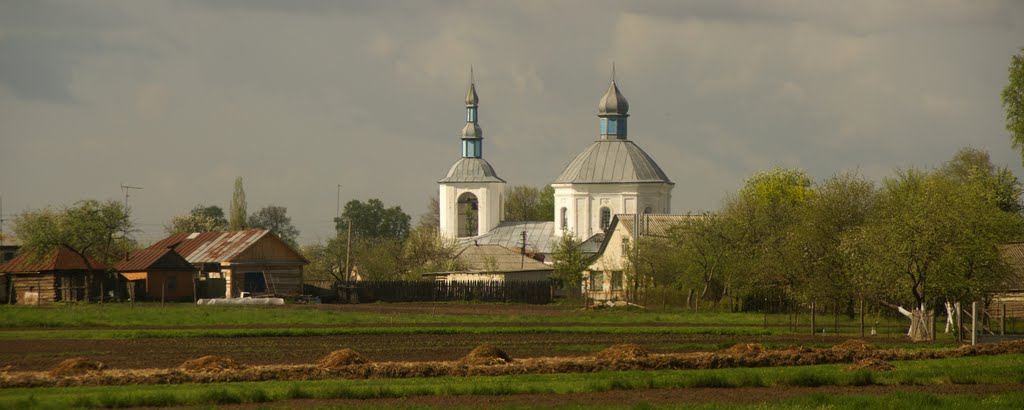 8 мая 2011